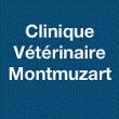 clinique-veterinaire-montmuzard