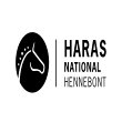 haras-national