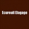 ecureuil-elagage