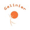 galinier-sarl