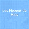 les-pigeons-de-mios
