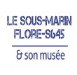 sous-marin-flore-s645-son-musee
