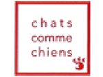 chats-comme-chiens