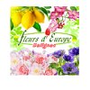 jardinerie-fleurs-d-europe--salignac