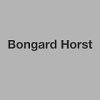 bongard-horst