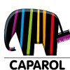 caparol-center-sagra-savigneux