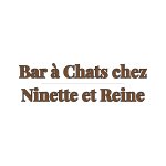 bar-a-chats-chez-ninette-et-reine