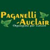 a-a-pagagnelli-auclair-services