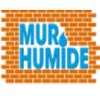 mur-humide