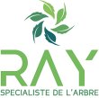 ray-specialiste-de-l-arbre