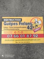 destruction-guepes-frelons-42