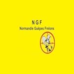 ngf-normandie-guepes-frelons