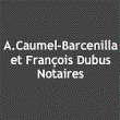agnes-caumel-barcenilla-et-francois-dubus-scp