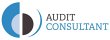 audit-consultant