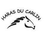 haras-du-carlin