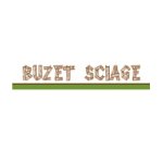 buzet-sciage-top-elagages