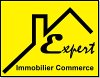 expert-immobiler-commerce