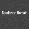 gaudissart-romain