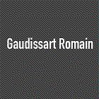 gaudissart-romain