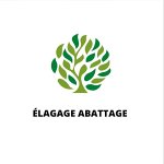 services-reinhardt-elagage