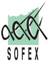sofex-audit-et-expertise-comptable