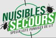nuisibles-secours