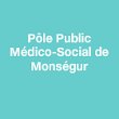 pole-public-medico-social-monsegur