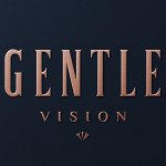 gentle-vision