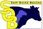self-ovins-bovins