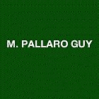 pallaro-guy