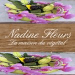 nadine-fleurs