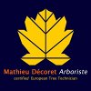 mathieu-decoret-arboriste---wild-tree-service