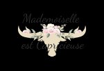 mademoiselle-est-capricieuse
