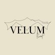 velum-event