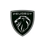 peugeot-givors---groupe-chopard