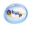 bmp-integration-bmp-groupe