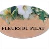 fleurs-du-pilat