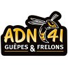 adn41-guepes-frelons