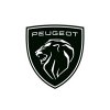 peugeot-nice---groupe-chopard