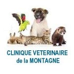 clinique-veterinaire-de-la-montagne---luna-park
