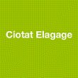 ciotat-elagage