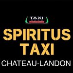 spiritus-taxi