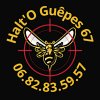 halt-o-guepes-67